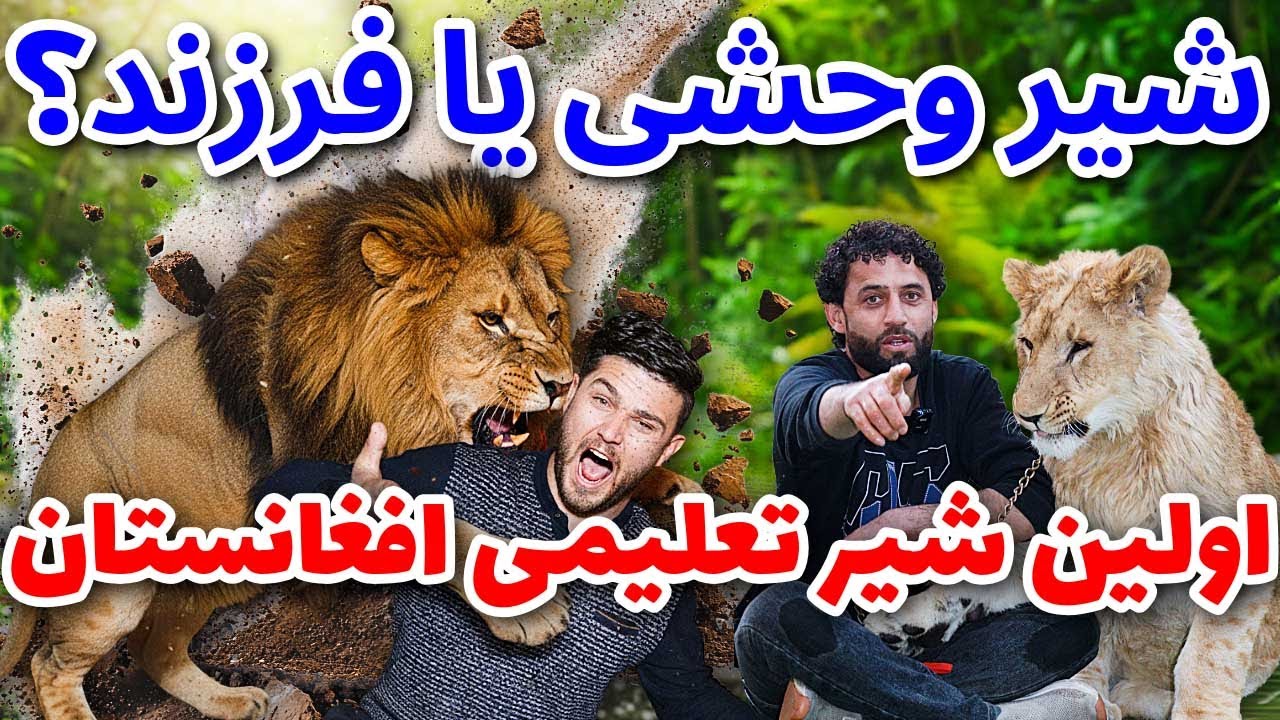 فرزند ششم خانواده، یک شیر تربیت‌ شده/The Sixth Child of the Family: A Trained Lion