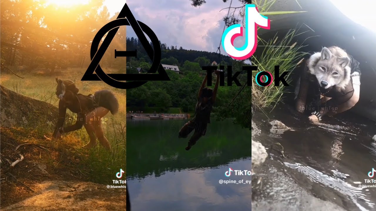 Therian and Quadrobics TikToks || Compilation 🐾🍂 || Alterhumans of TikTok #21
