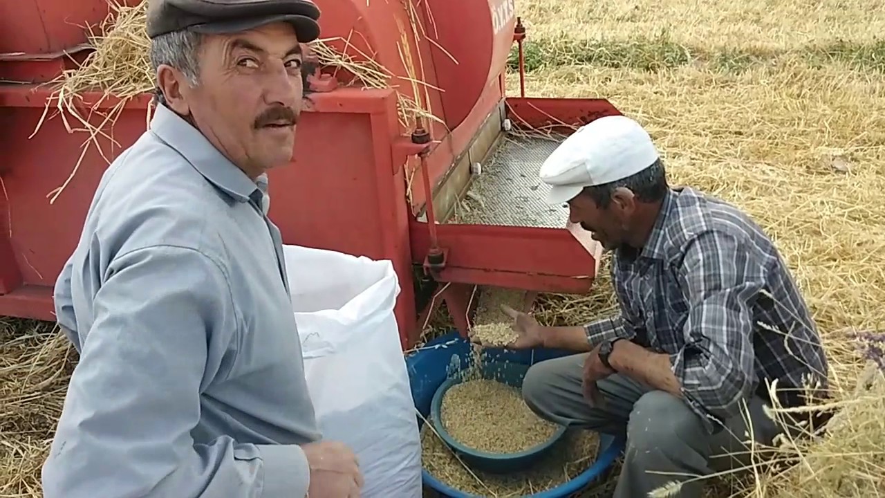 Erzurum Oltu Ayyıldız Köyü