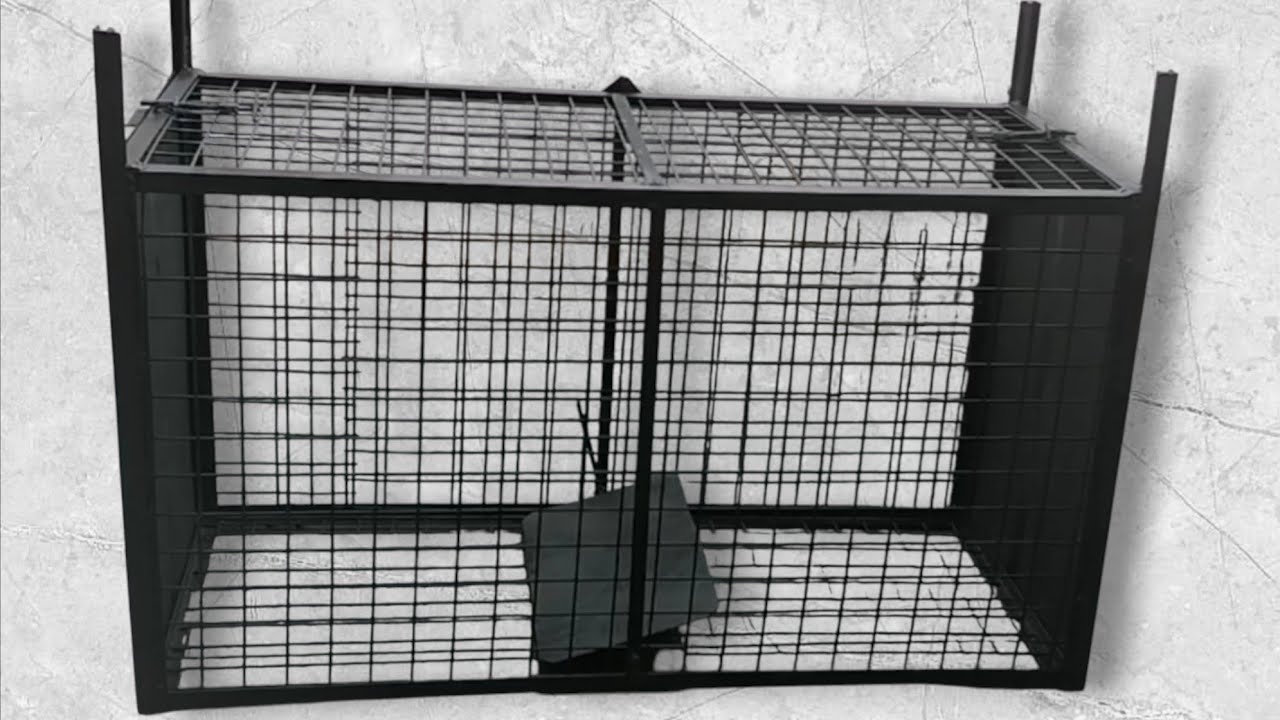 صنع مصيدة خنازير برية... / Making a wild pig trap...