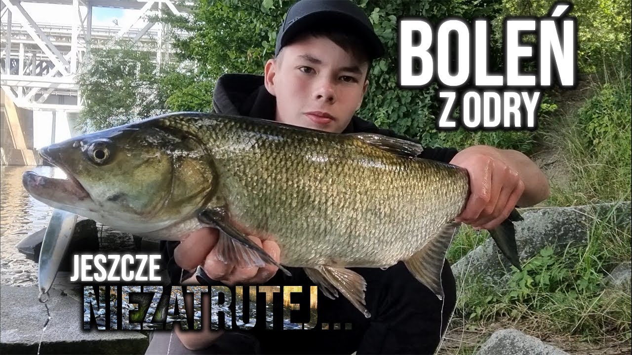 ŁOWIENIE ODRZAŃSKICH BOLENI Z BRZEGU | NOWE PB! | #vlog 3