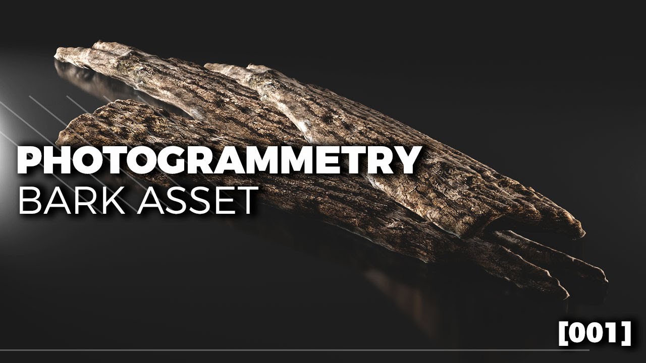 3D Bark Asset | Photogrammetry PBR Workflow [001]