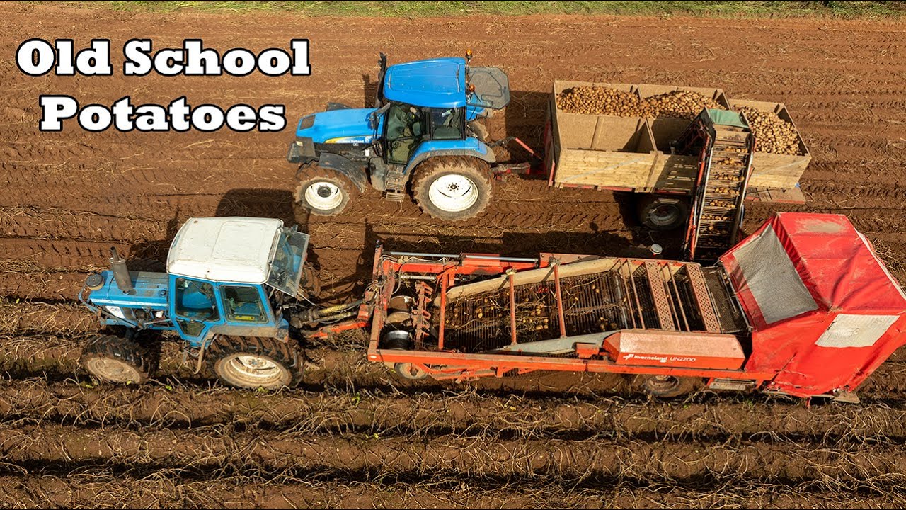 Old School Potatoes | Classic New Hollands TM130 7840 7610