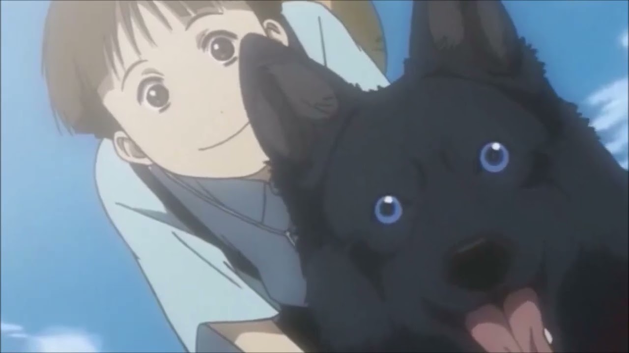 Wolfs rain from Sarah with love