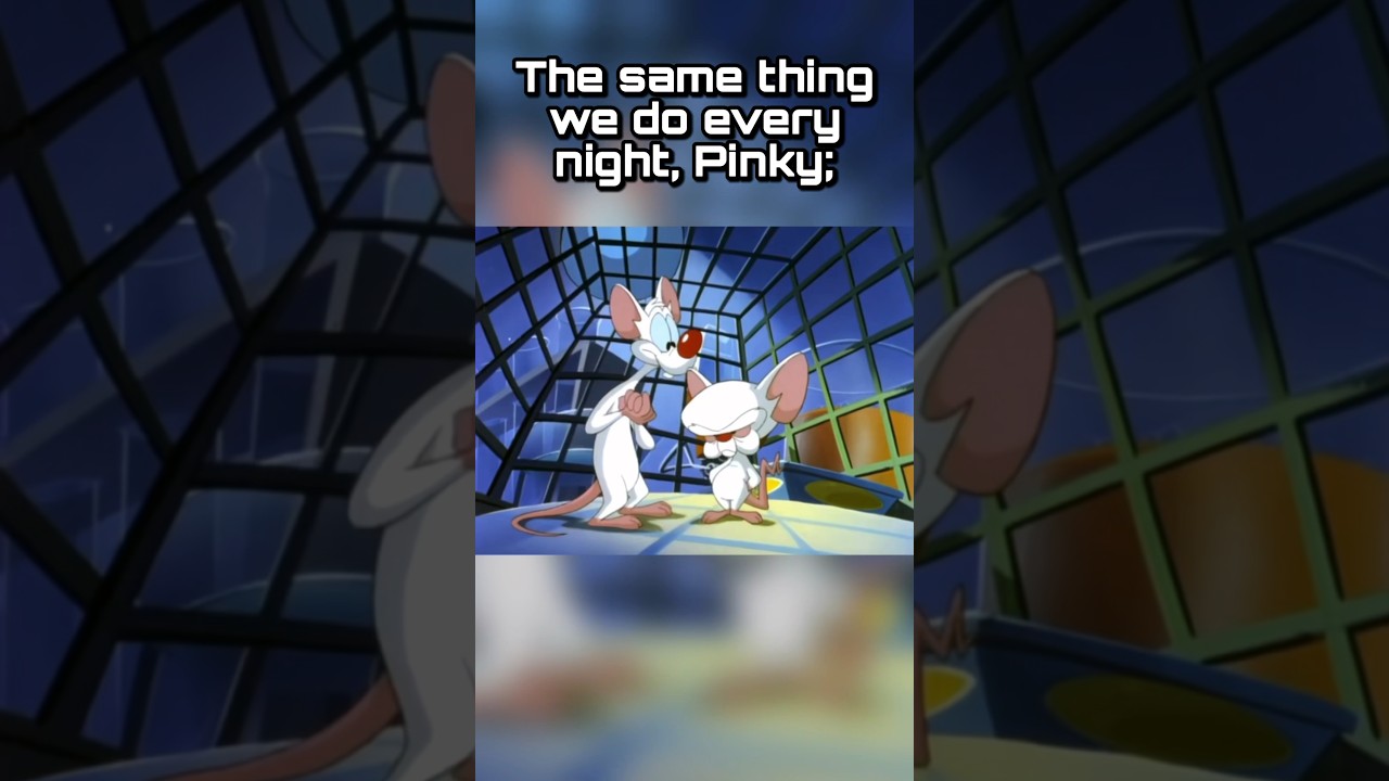 Pinky & The Brain theme song 🐁🌎🎶 (feat. Yakko, Wakko and Dot)