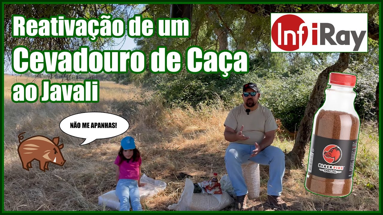 Reativação de um Cevadouro | Caça de Espera ao Javali | Tratamento de um Cevadouro
