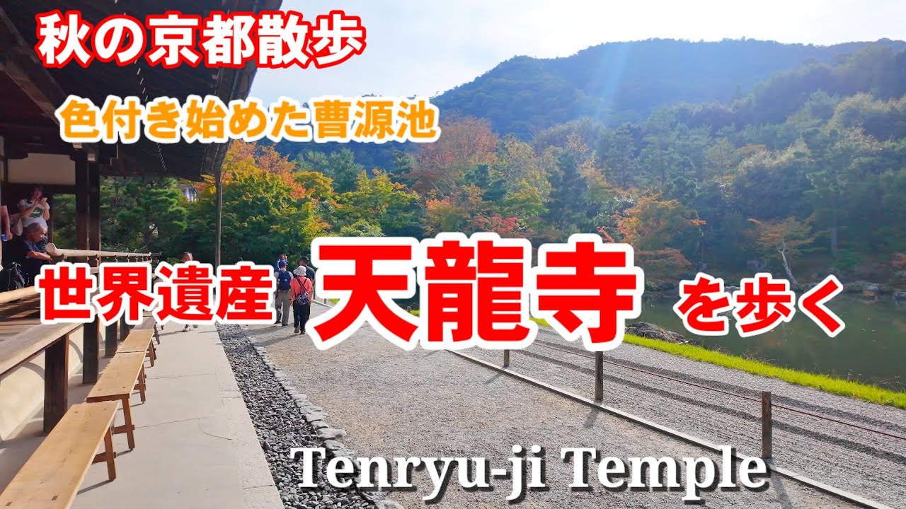 10/17(木)秋の京都散歩 色付き始めた？嵐山天龍寺を歩く【4K】Walking around Tenryu-ji Temple