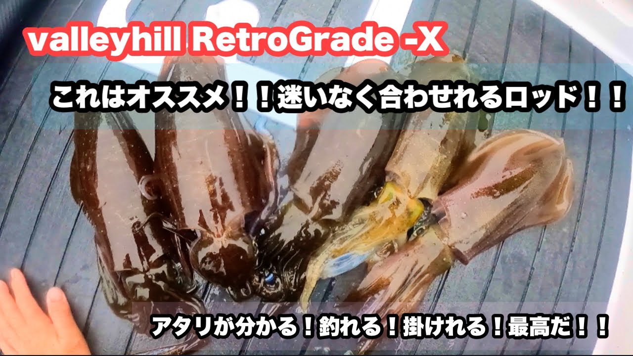 迷ったらコレに決まり！！オススメ・ティップランロッド🦑【バレーヒル】レトログラードＸ