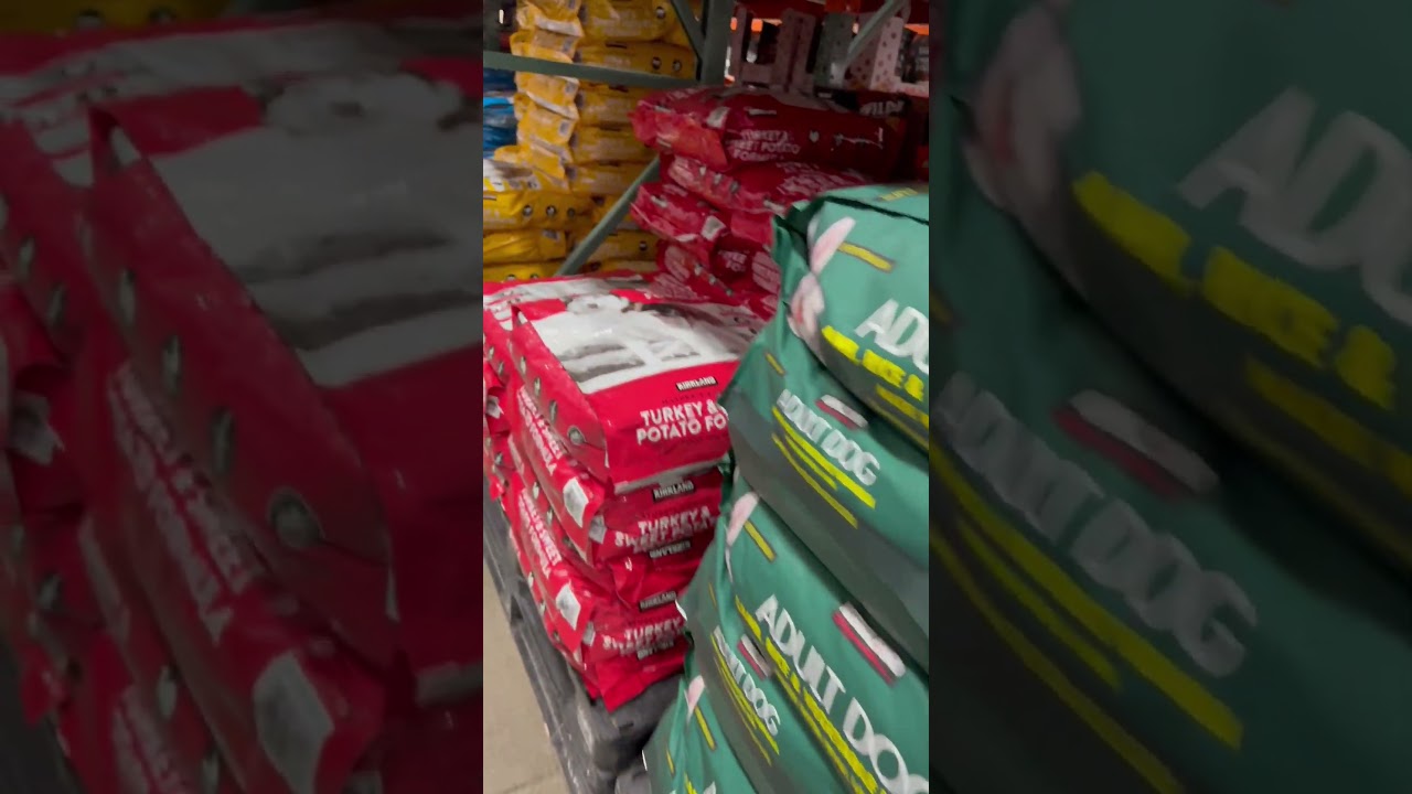 LARGEST COSTCO IN THE WORLD#costco#grocerystore#bigboxstore