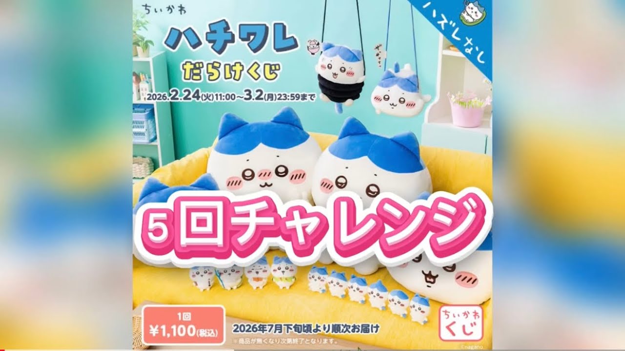 【ハチワレだらけくじ】５回引いたよ🌟