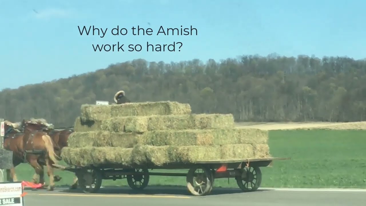 Why do the Amish work so hard  * 6 reasons revealed