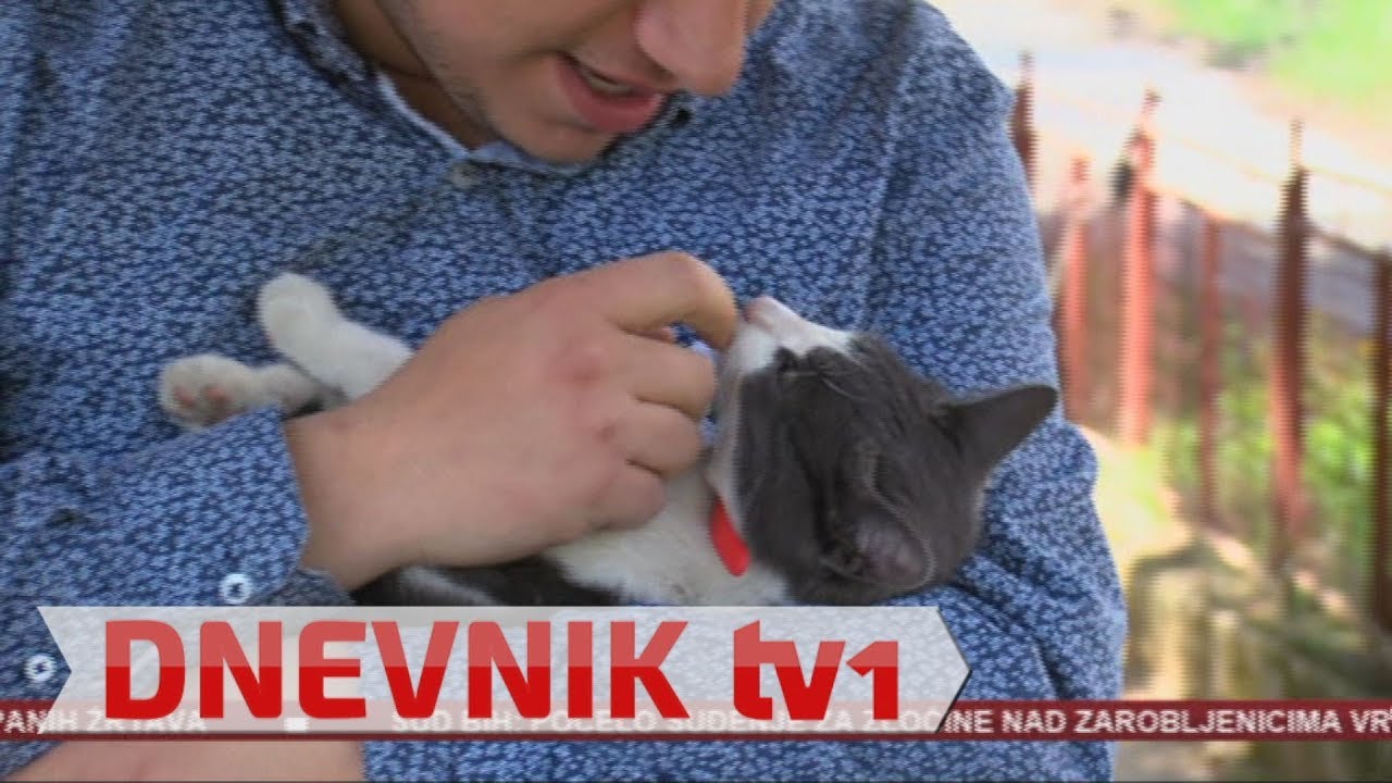 Na maturu iz Doma Bjelave