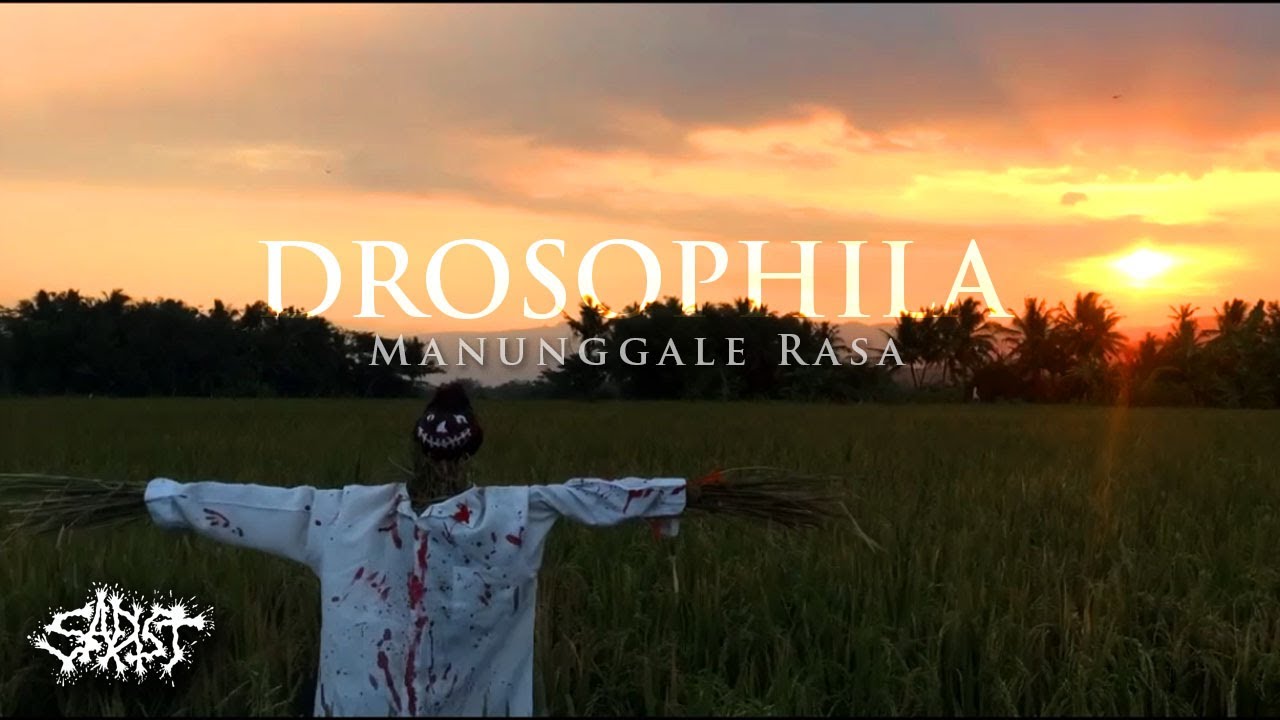DROSOPHILA - Manunggale Roso (Official Music Video)