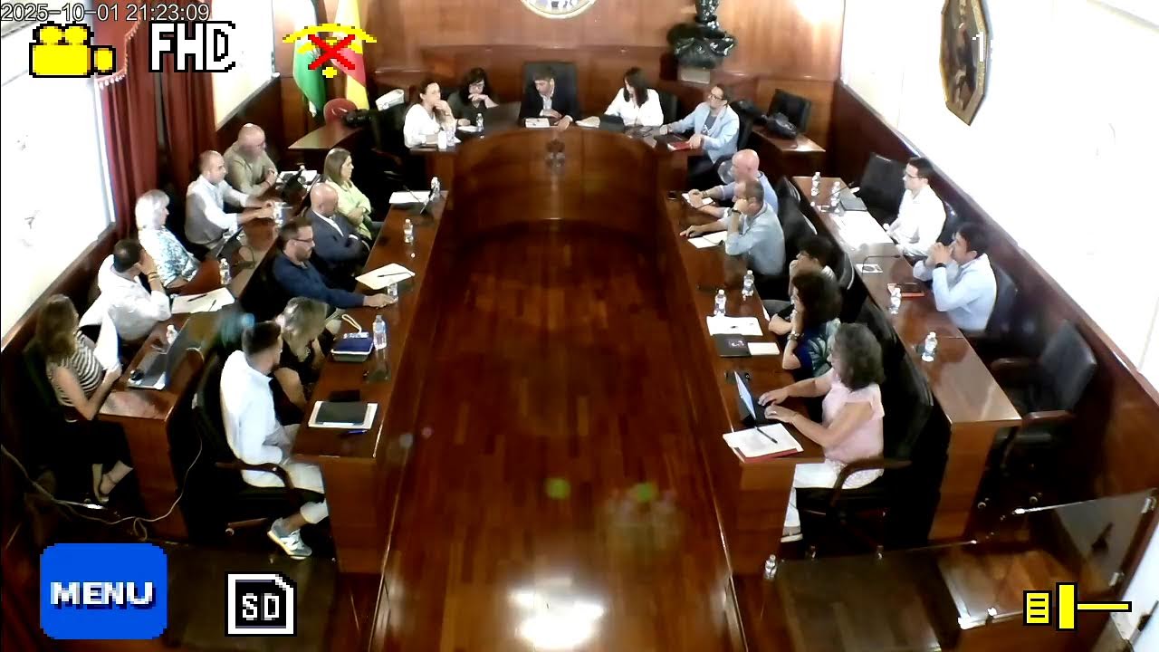 Pleno ordinario del 1 de octubre de 2025