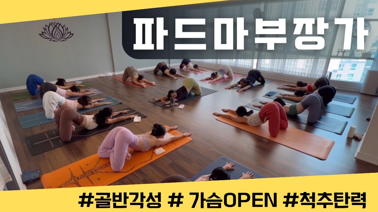 [엔젤요가] 나와 마주하는 시간 | 요가 위드 엔젤 | 하타요가