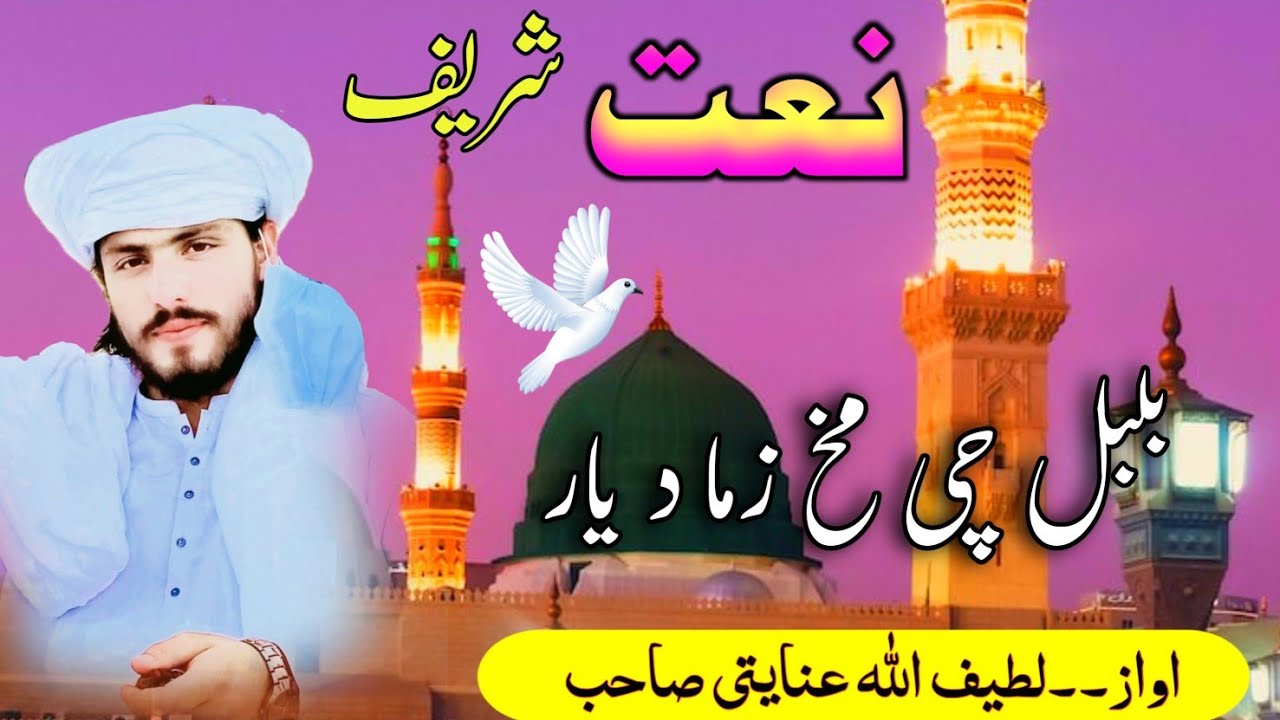 Pashto naat 2025 ||Yaw zali bulbul che makh zama da yar ||Latif ullah