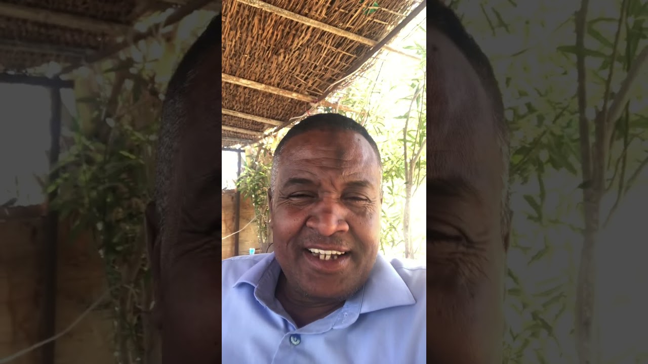 ياسلام يا اشه