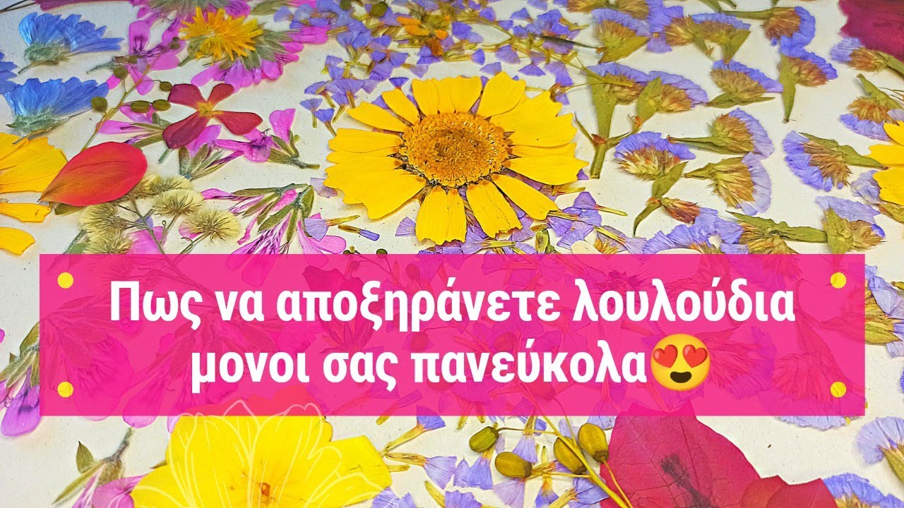 Πώς να αποξηράνετε τα δικά σας λουλούδια με τη μέθοδο της συμπίεσης | Pressed Flowers DIY