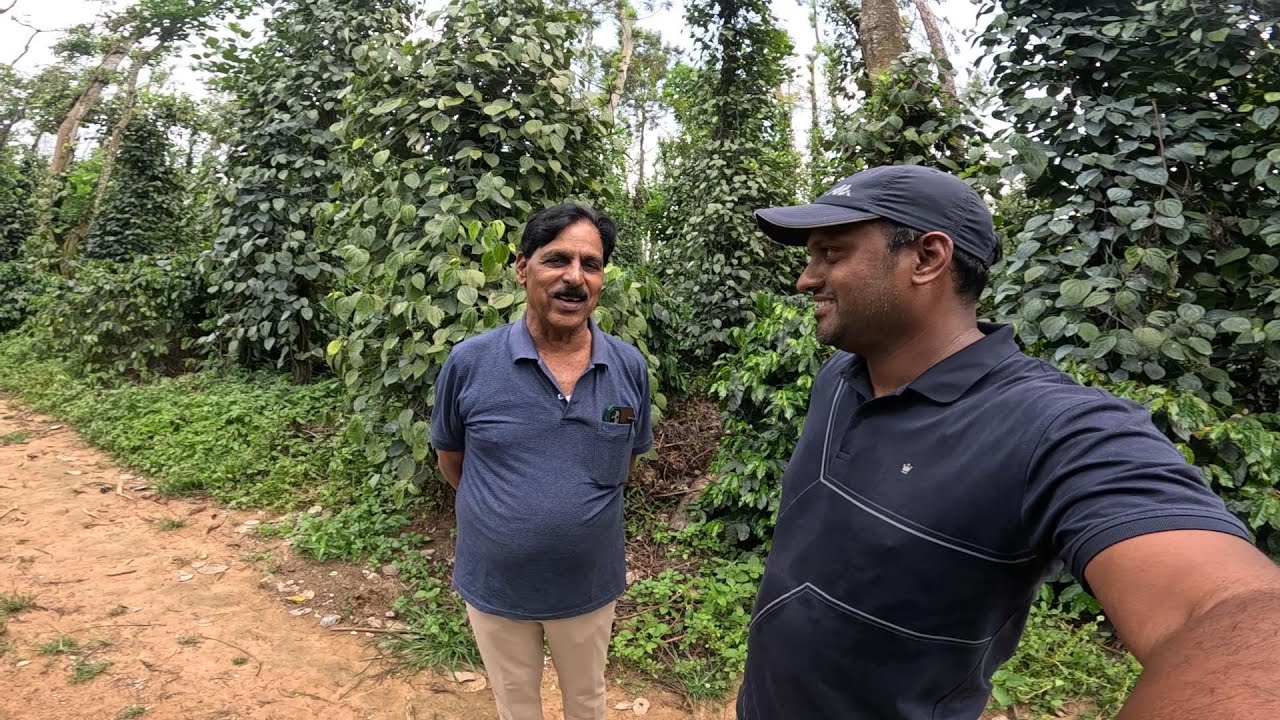 FOLIAR SPRAY FOR BLACK PEPPER| BLOOM BIOTECH CONTACT NUMBER 8884568019