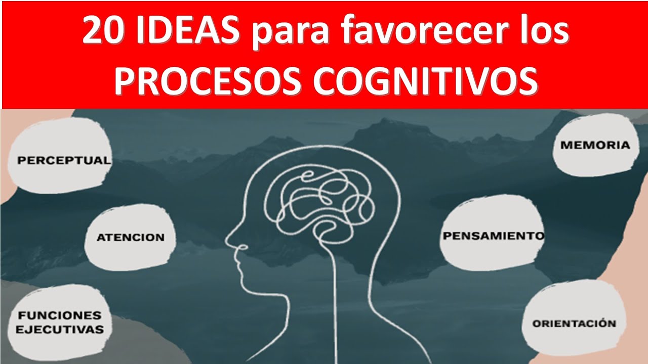 PROCESOS COGNITIVOS PROFE ERALDO