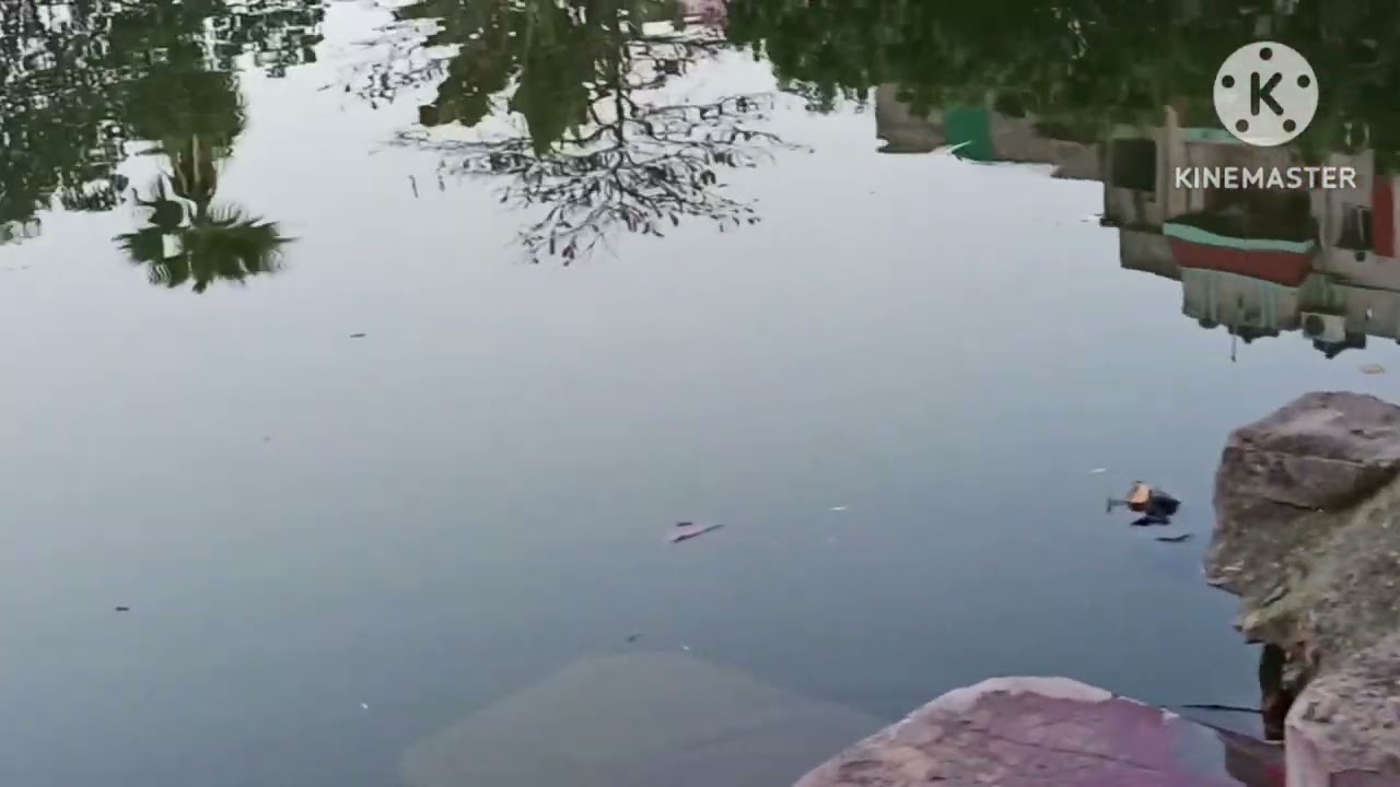 Quiet Moments By The Water : Nature , Solitude, And Thoughts From The Heart 