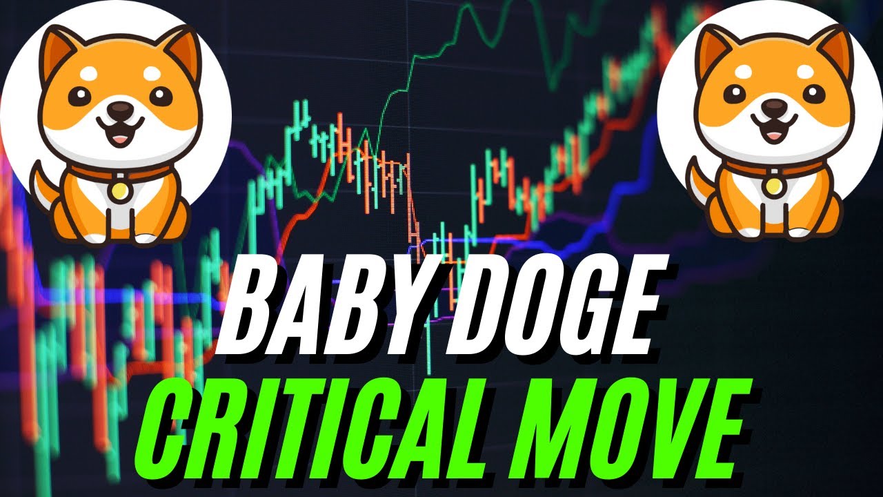 ATTENTION Baby Doge Coin Holders: CRITICAL Price Movement Ahead