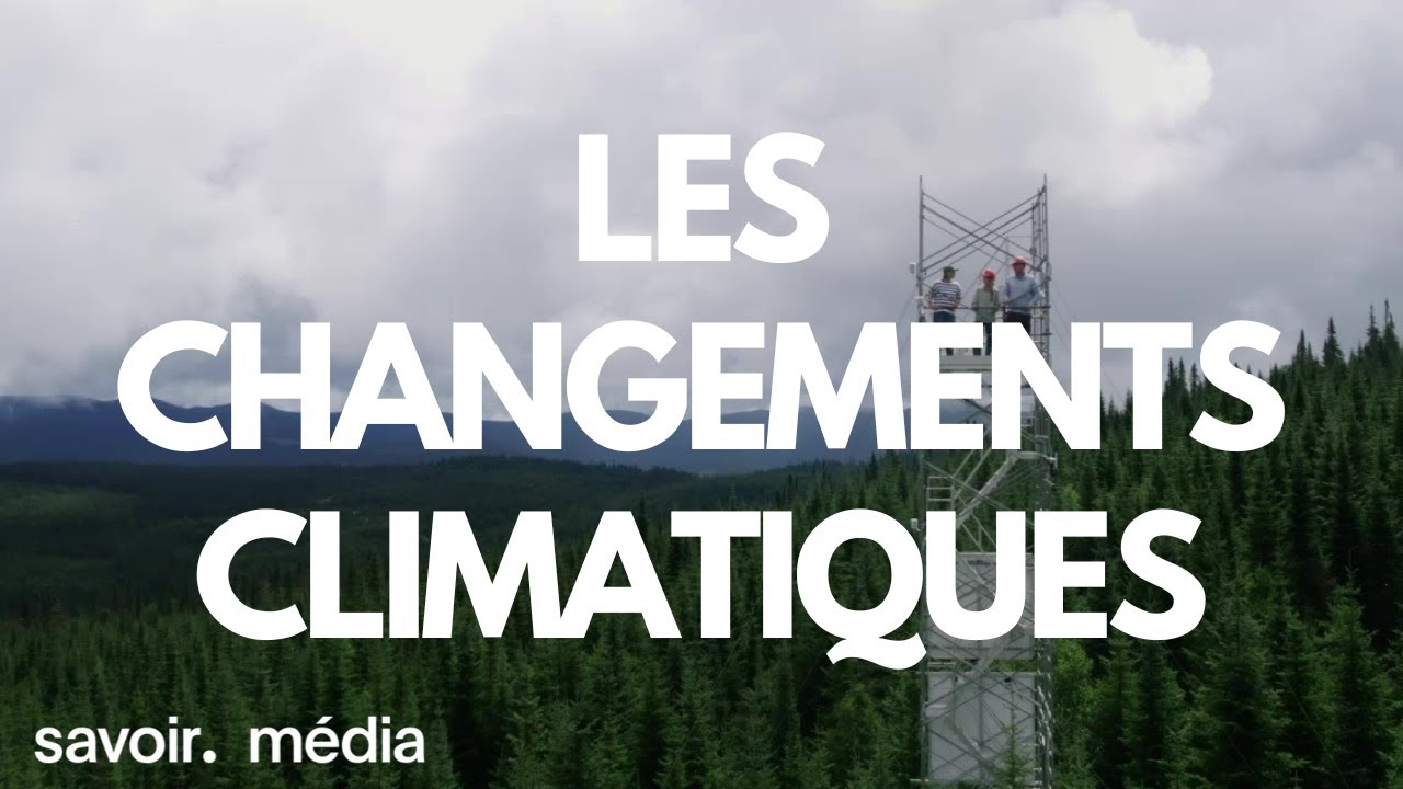 La forêt et les changements climatiques - La bataille pour la forêt