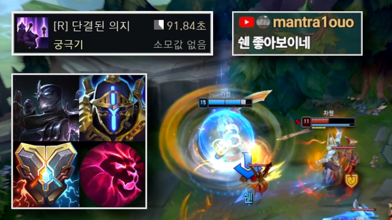 3단 궁극기 감소 쉔