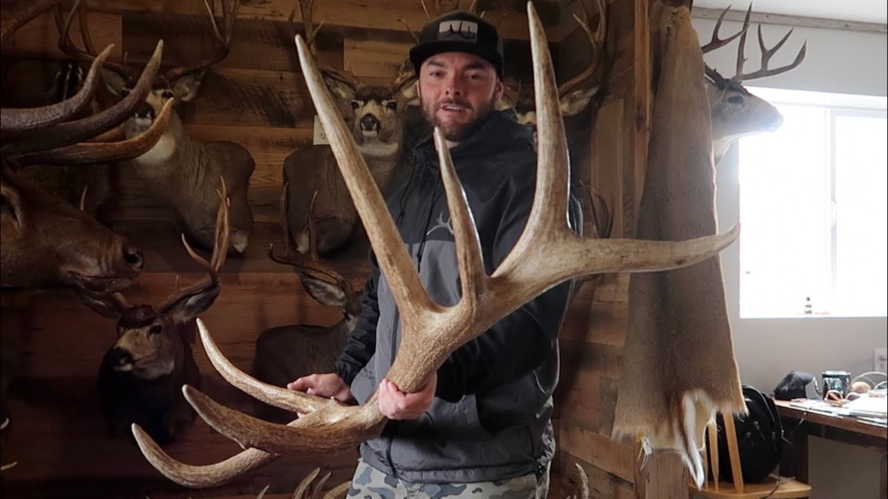 MY FAVORITE ELK SHEDS