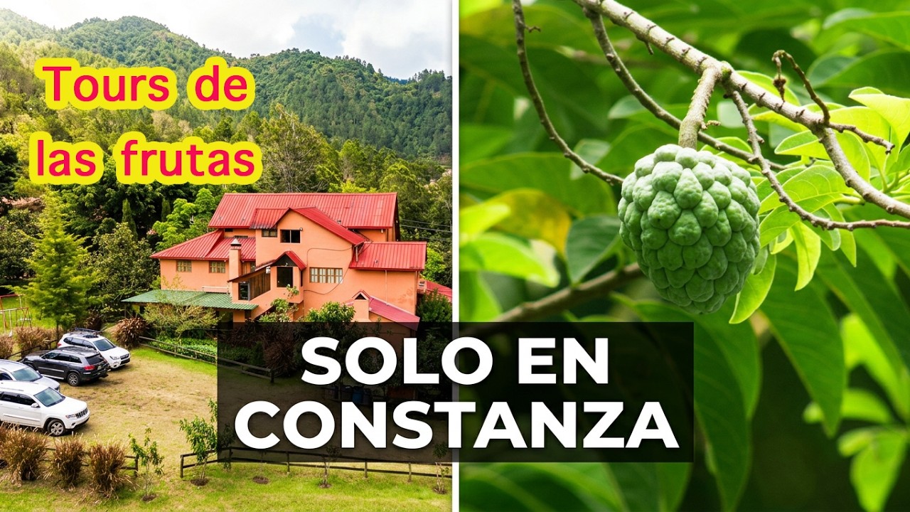 Tours de las frutas - Rancho Constanza, no sabía que estos frutos se cosechan en Rep. Dominicana?