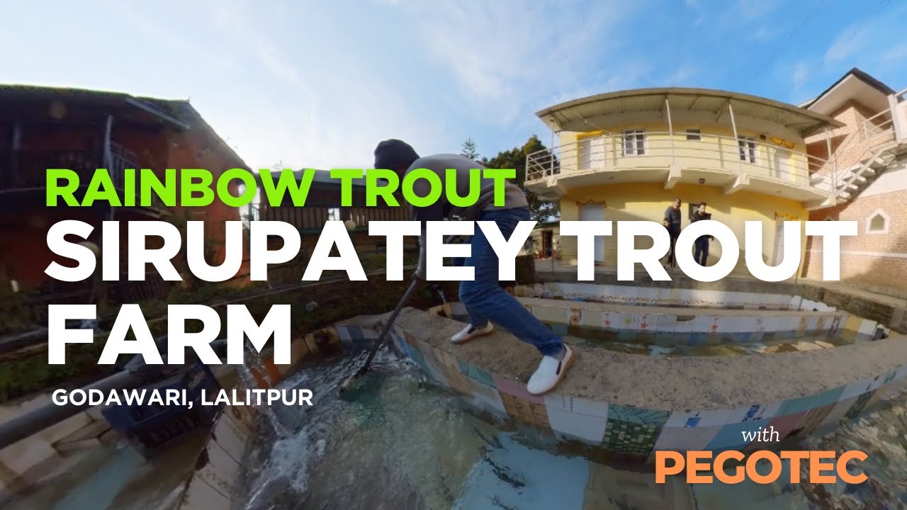 🌈 SIRUPATEY RAINBOW TROUT FARM | Fresh Trout & Enjoyable day 🐟✨