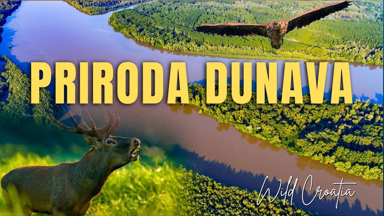 Dokumentarni film: Priroda Dunava u Hrvatskoj, Srbiji i Mađarskoj