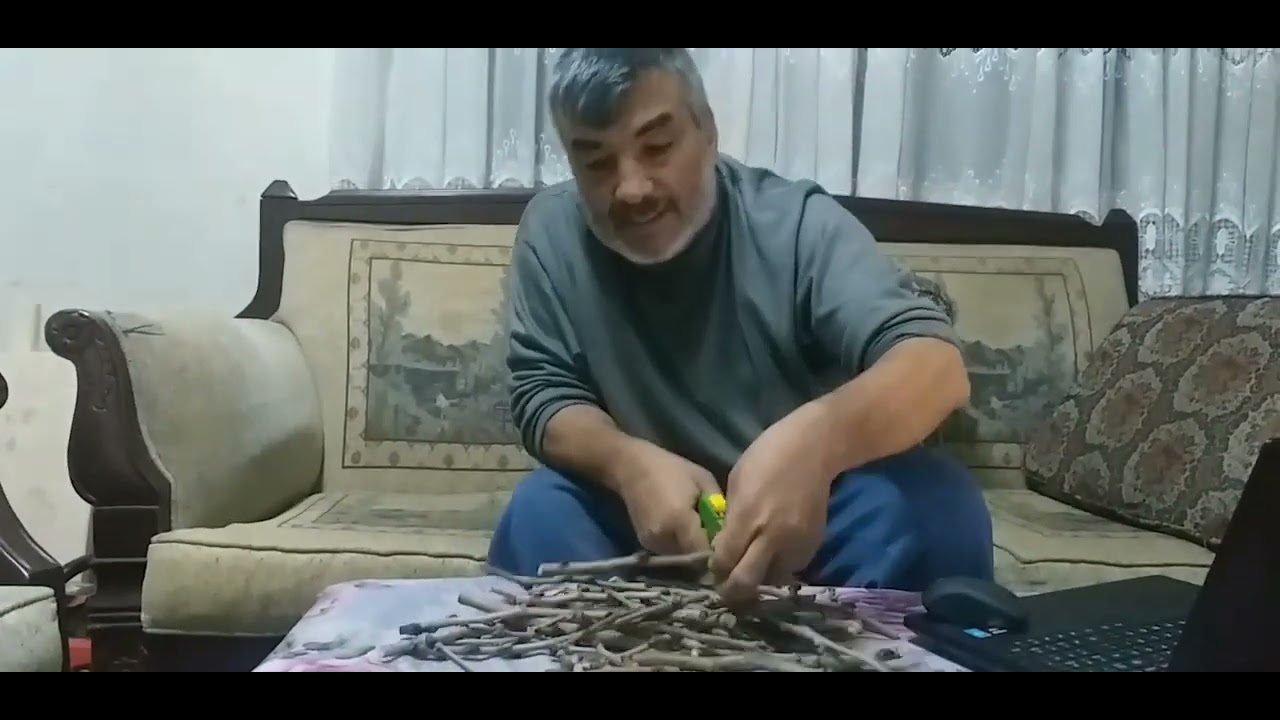 urmu dut &ccedil;eliği nasıl koklendirilir.