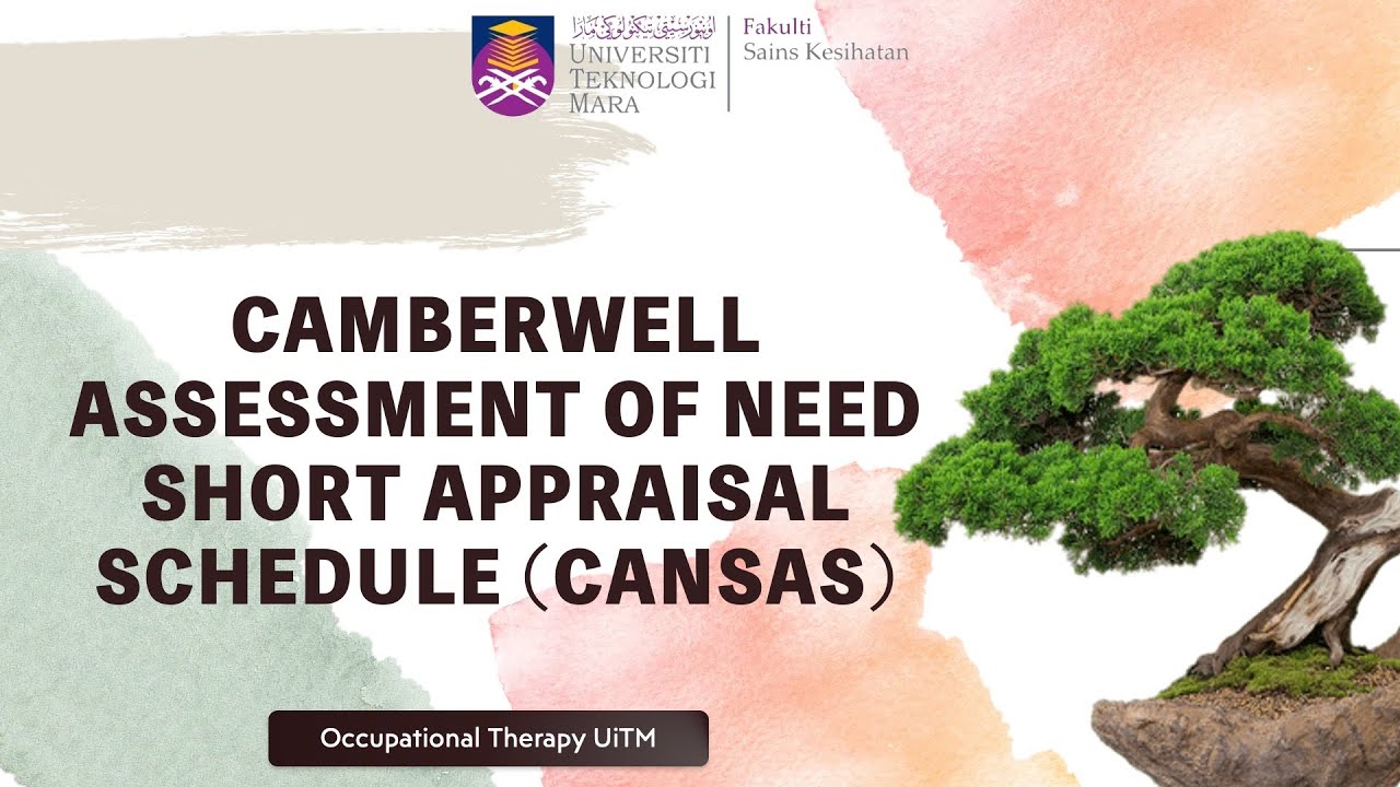 CAMBERWELL ASSESSMENT OF NEED SHORT APPRAISAL SCHEDULE (CANSAS)