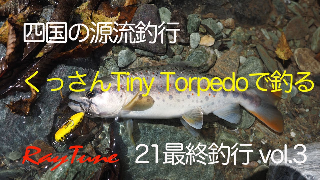 最終釣行vol 3　四国の源流釣行　くっさんタイニートピードで釣る。