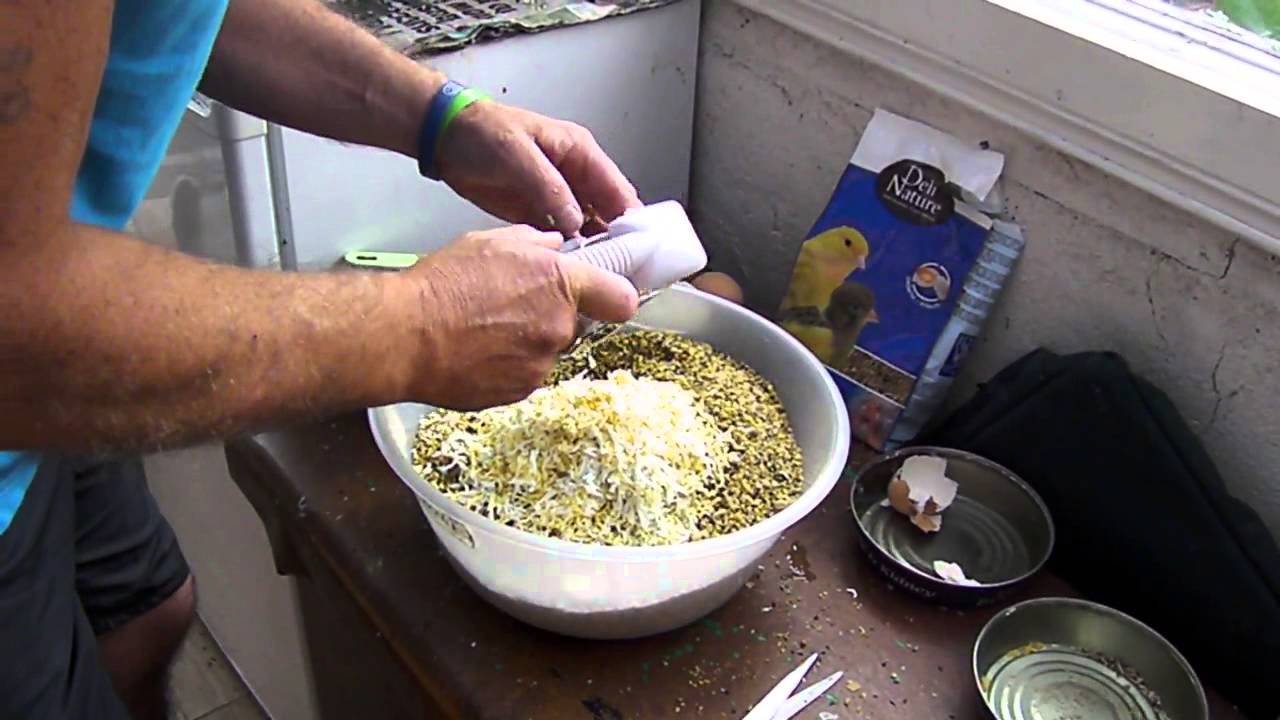 Noel making egg food 007