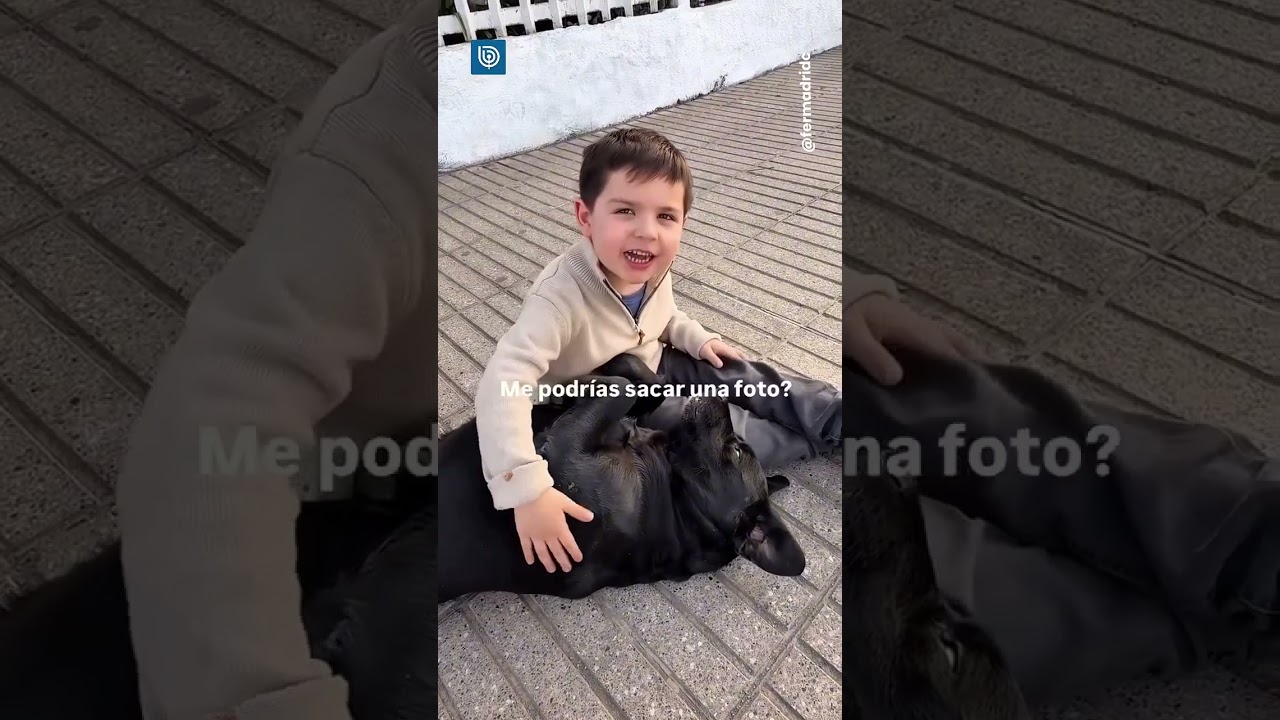 Ni&ntilde;o comparte tierno momento con un perro callejero