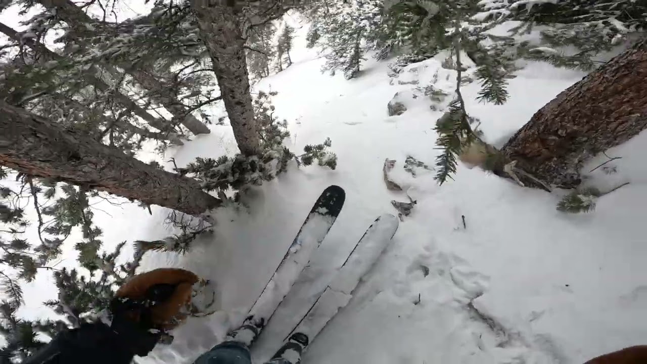 Finally got snow at Alta [2026-02-11]