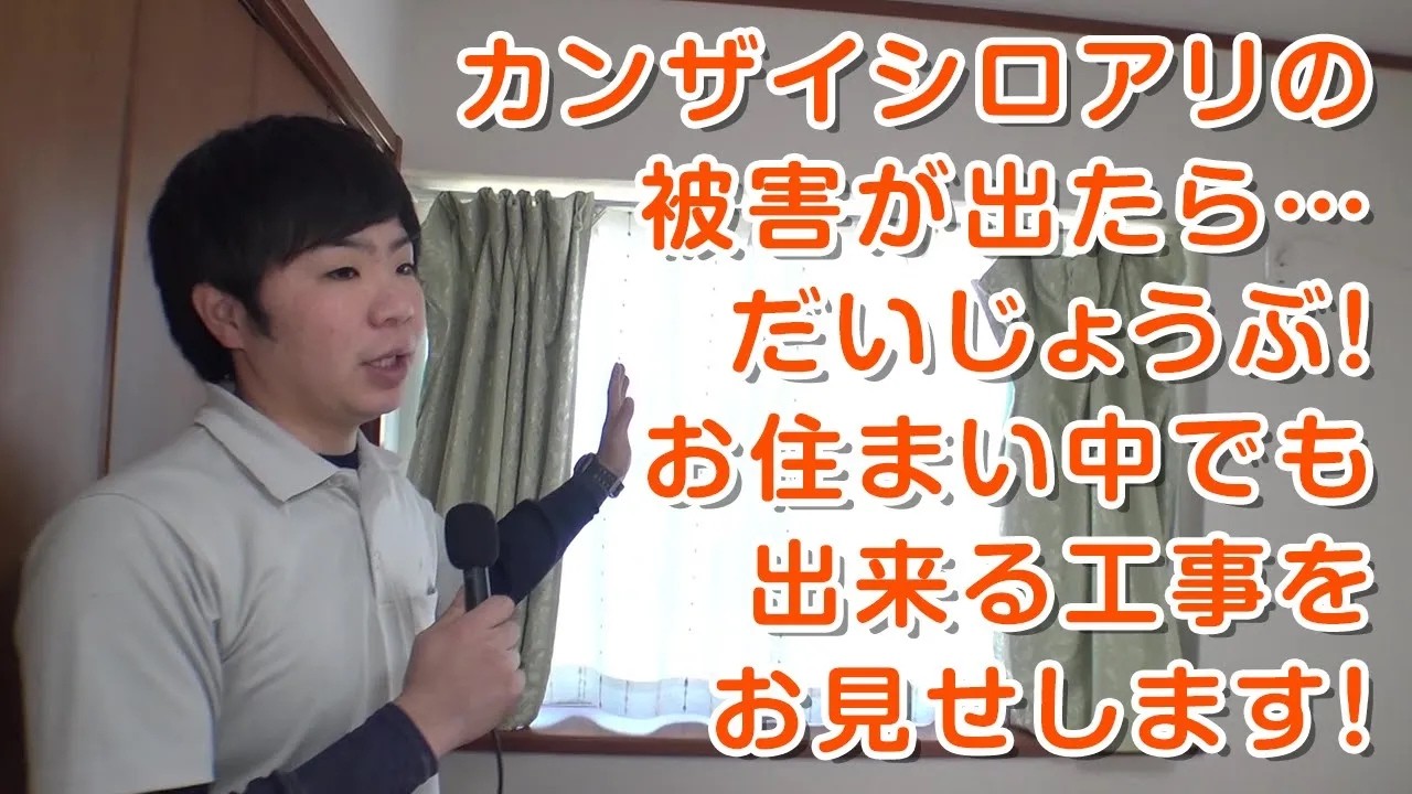 第82回 ボロンde学校 「アメリカカンザイシロアリ被害現場から」（ダイジェスト）