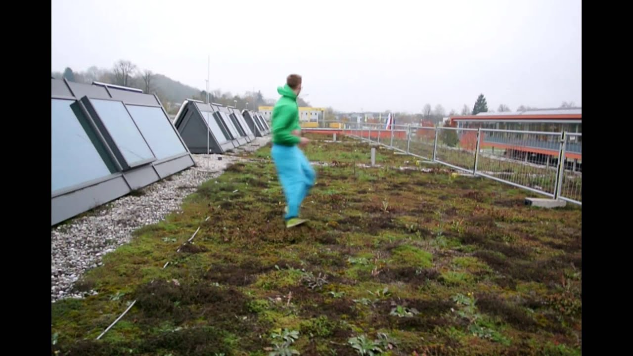 This is the feeling of freedom - Freerunning and Tricking       feat. Anton von Double time