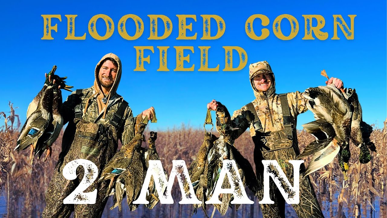EPIC 2 Man Flooded Corn Duck Hunt | Endless Memories 