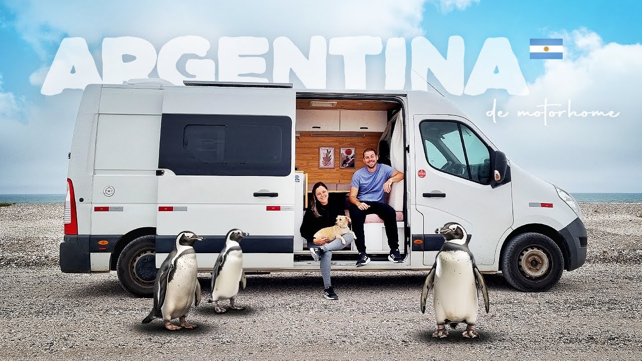 CHEGAMOS MUITO PERTO DELES | DE MOTORHOME NA ARGENTINA | Península Valdés | Se Joga Na Estrada |