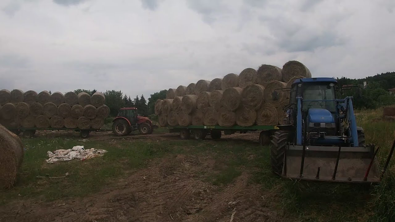 Wozimy siano na dwa!! TD 5050 czuje miód! 100 bel zwiezione na dwie przyczepy!
