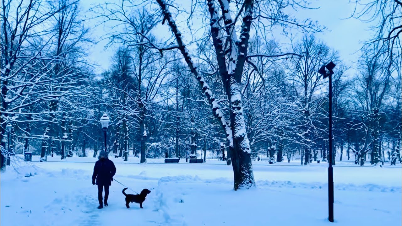 Stockholm City Snow Walk: Birger Jarlsgatan - Humlegården - Floragatan. 