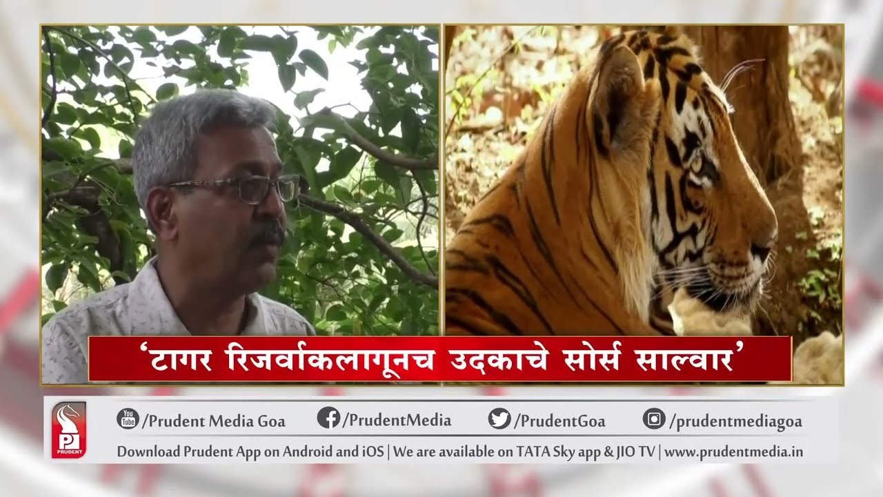 CAN GOA AFFORD A TIGER RESERVE? | Prudent Media Goa
