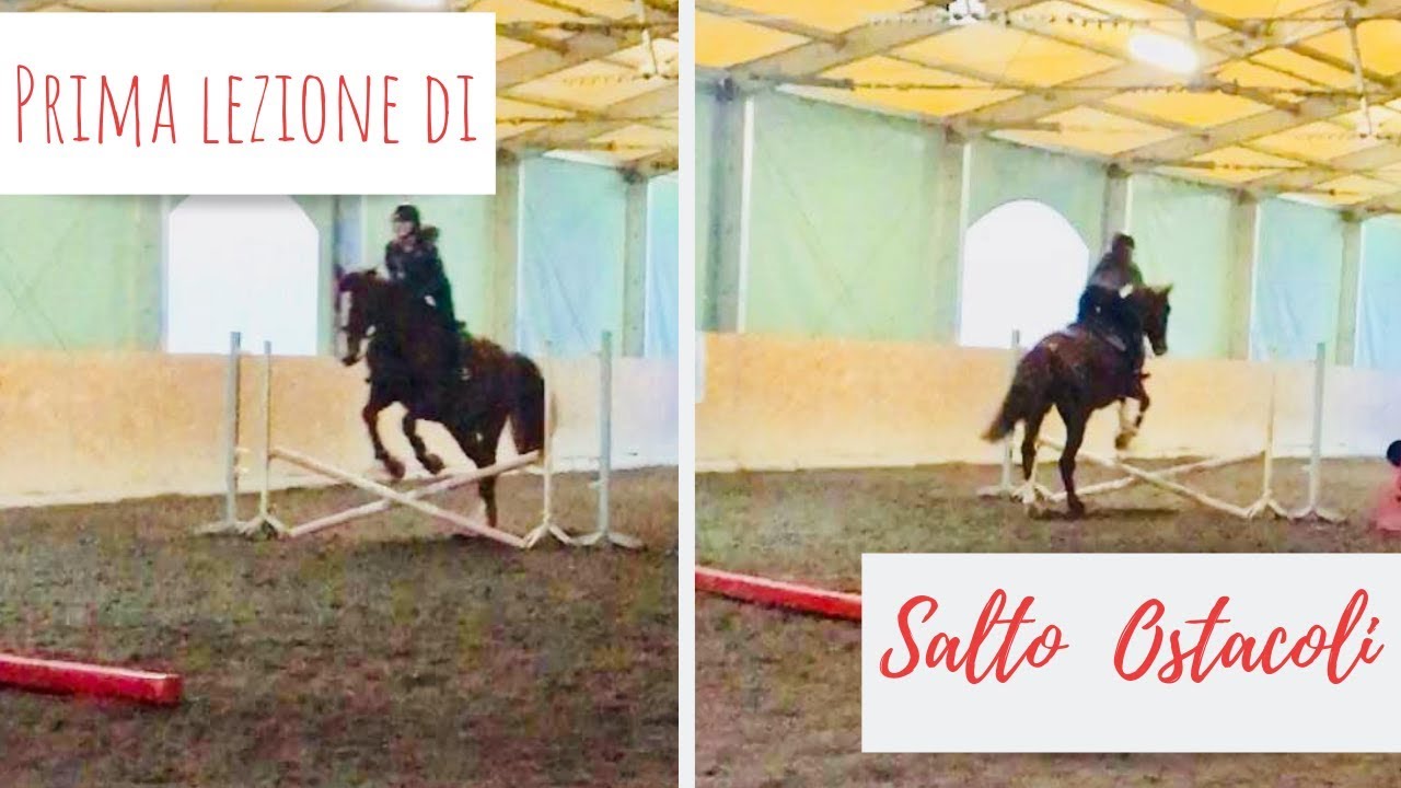 Prima lezione di salto ostacoli | My first showjumping lesson