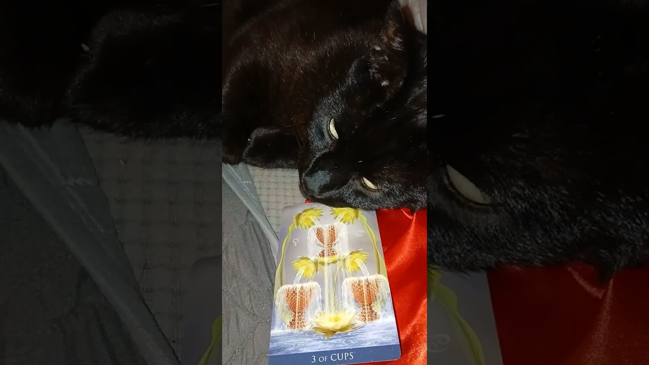 Merlin’s Daily Message for All.  March 9, 2026