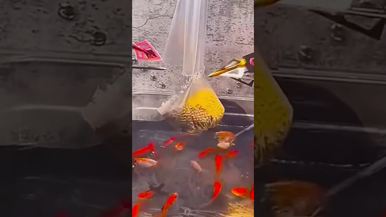 Прямая трансляция пользователя Кино-Рвач