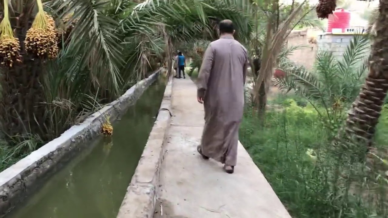 سهيل المبارك وابو منصور في بستان بيت الرفاعي في حمدان قضاء ابي الخصيب