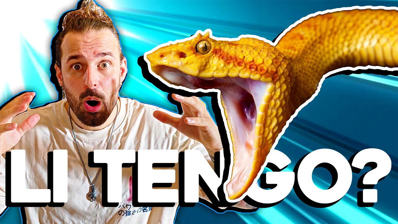 Mi Hanno Regalato 5 Serpenti!